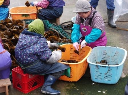 20140318_ph4_miyagi.jpg