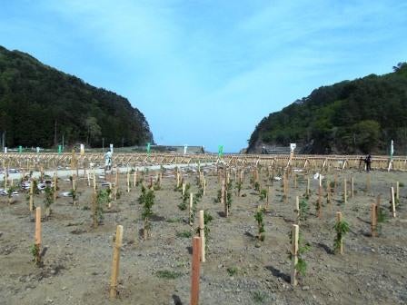 20140514_ph4_iwate.jpg