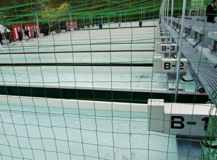 ２千万尾を放流へ さけますふ化場が完全復活（岩手県大槌町）