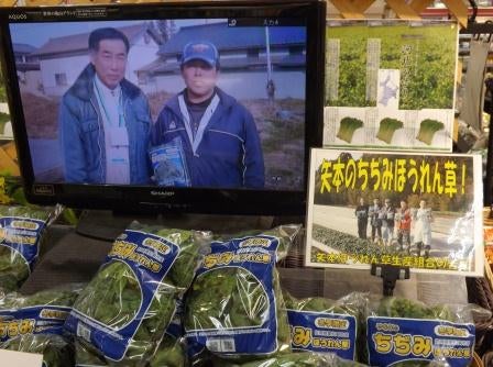 20140129_ph3_miyagi.jpg