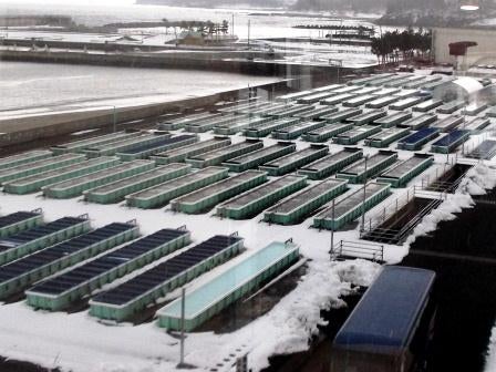 20140323_ph3_iwate.jpg